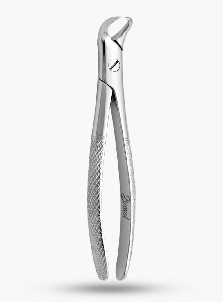 87 English Pattern Cow-horn Extraction Forceps